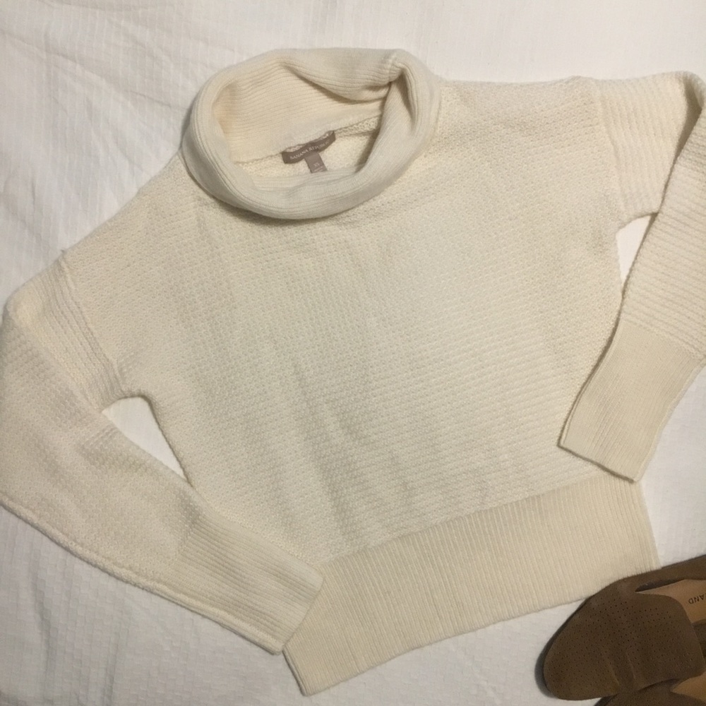Banana Republic Merino/Alpaca Wool Turtleneck